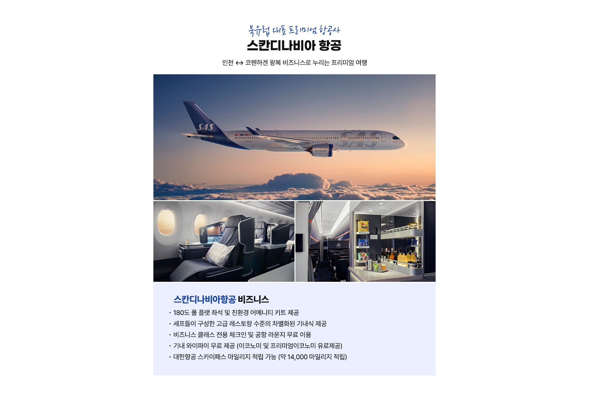 컨텐츠