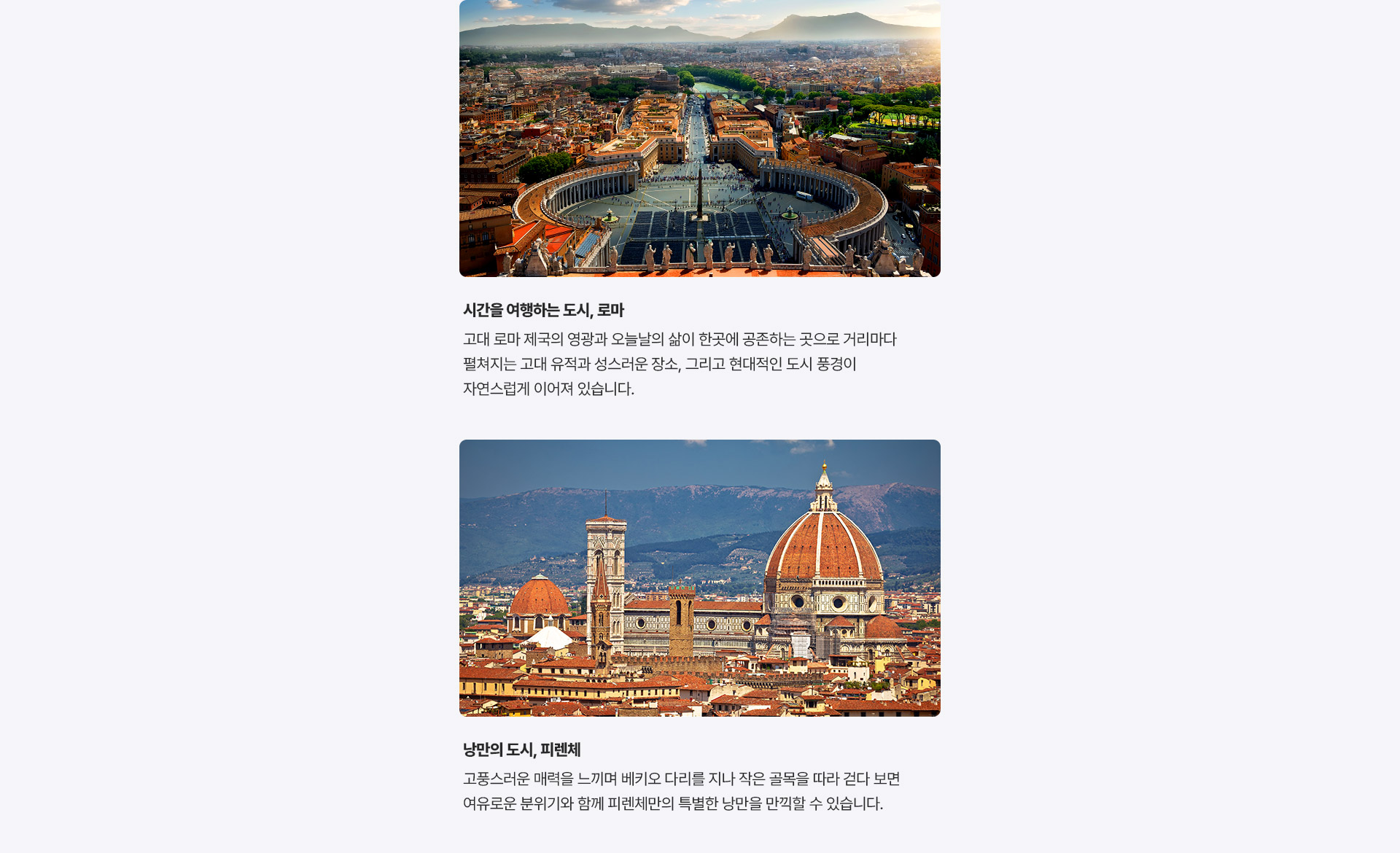 포인트