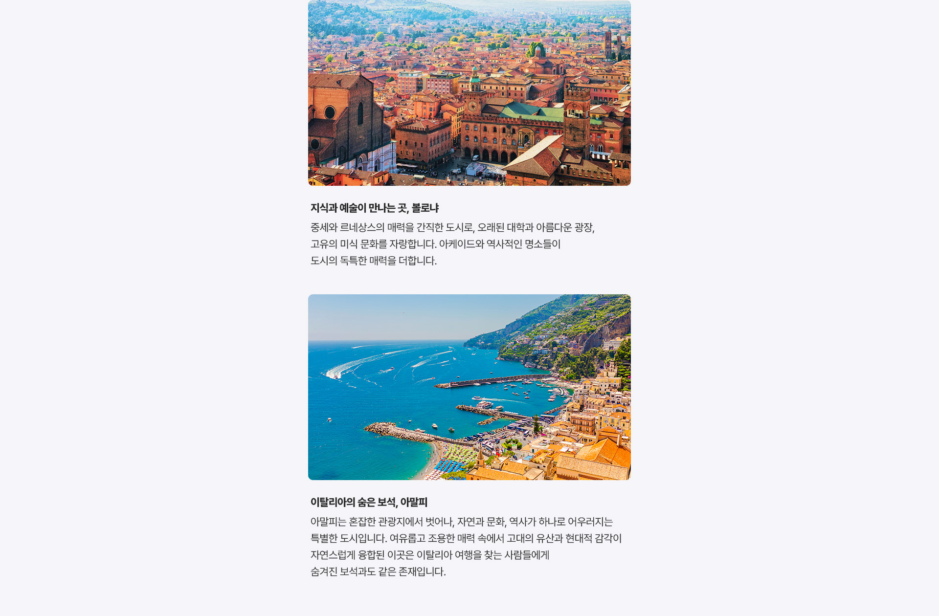 포인트