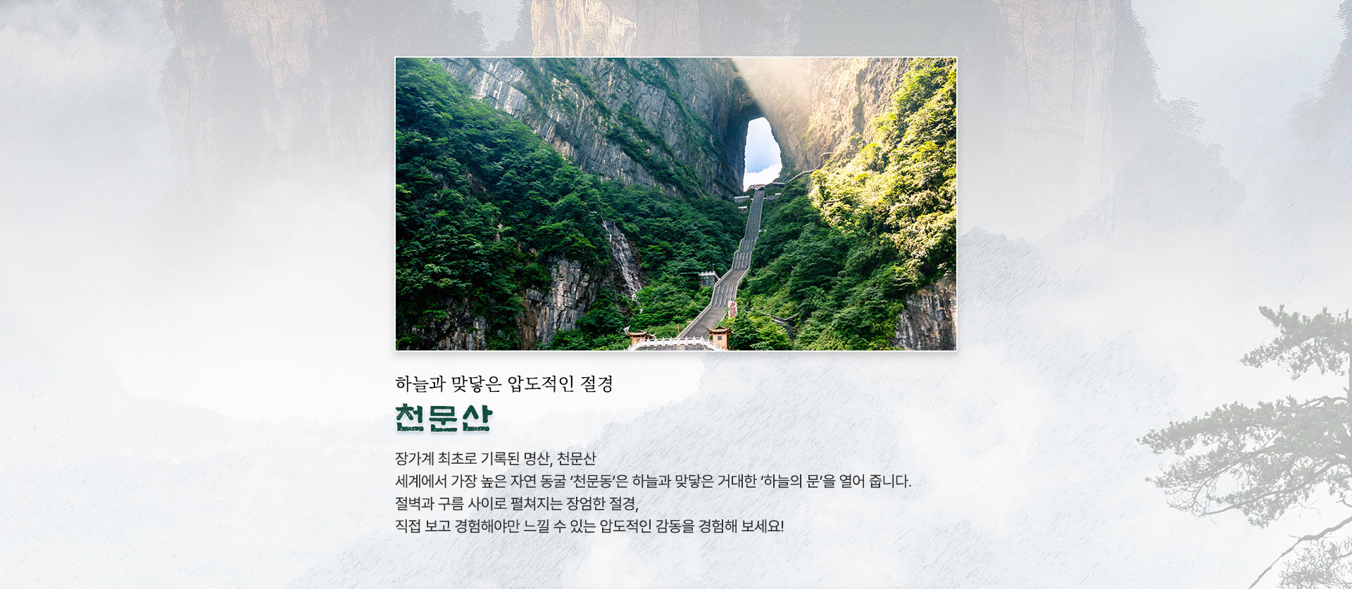 컨텐츠