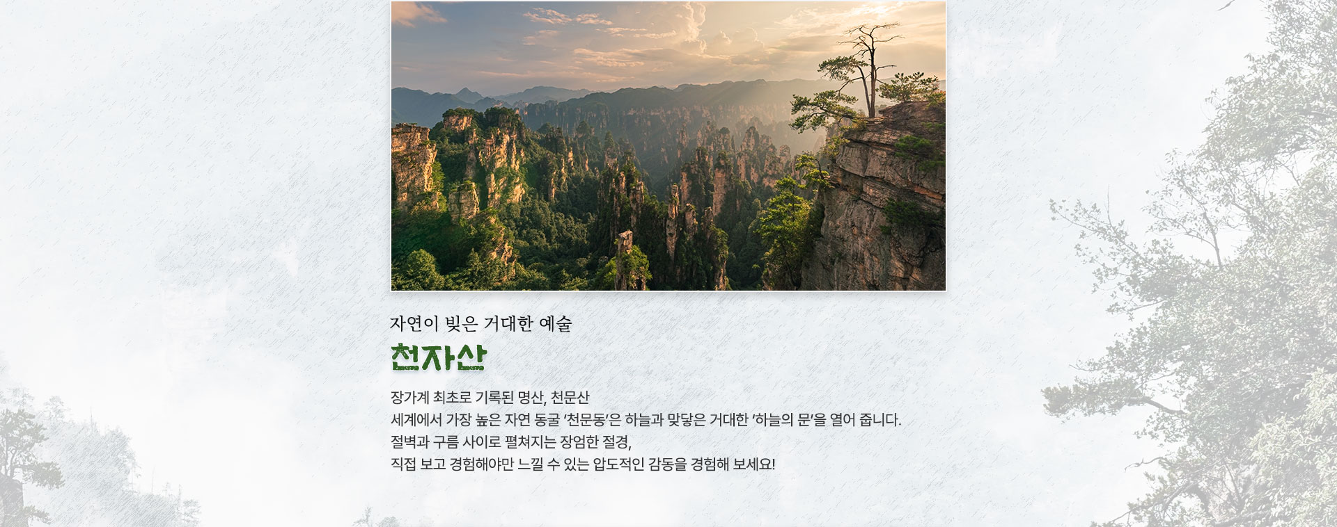 컨텐츠