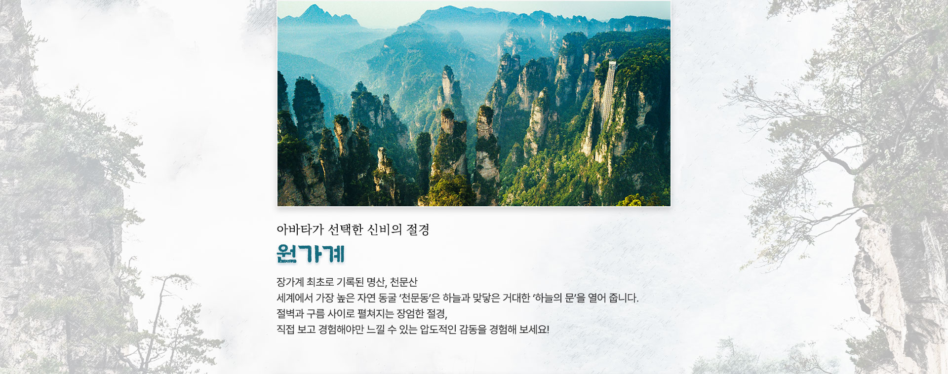 컨텐츠