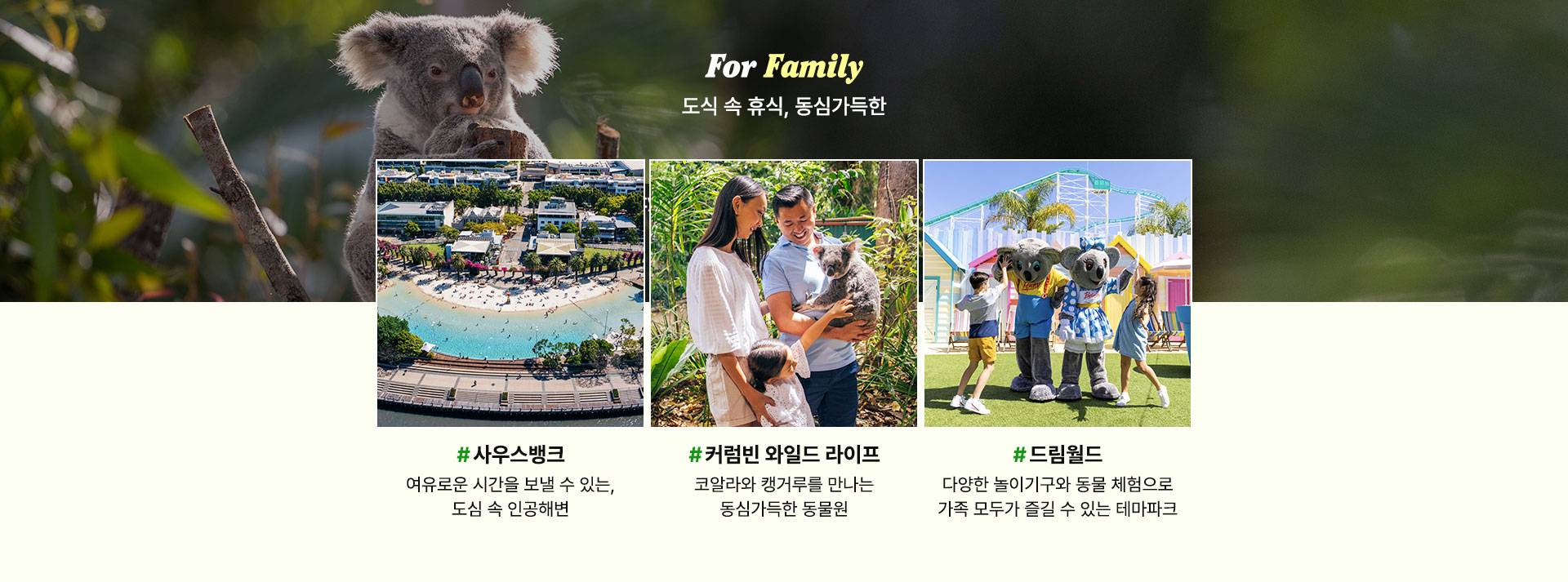 컨텐츠