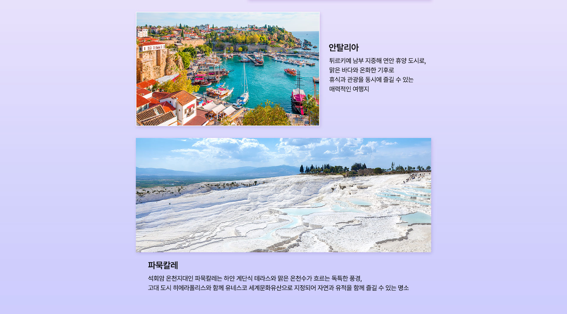 컨텐츠