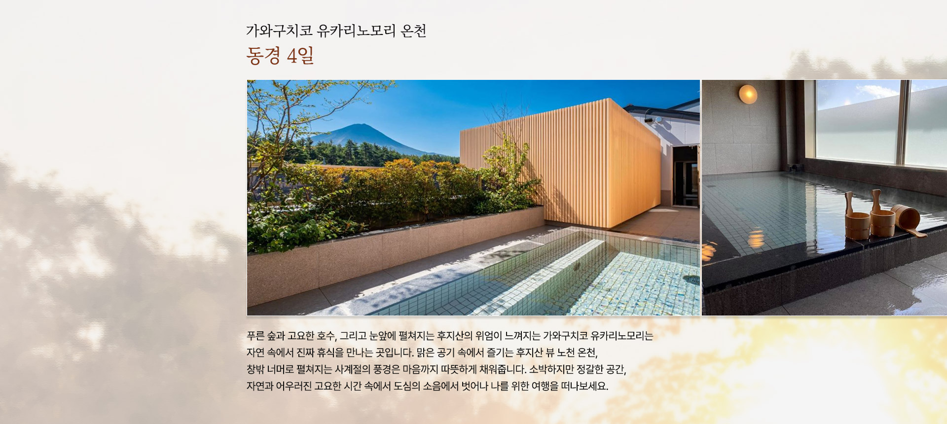 컨텐츠