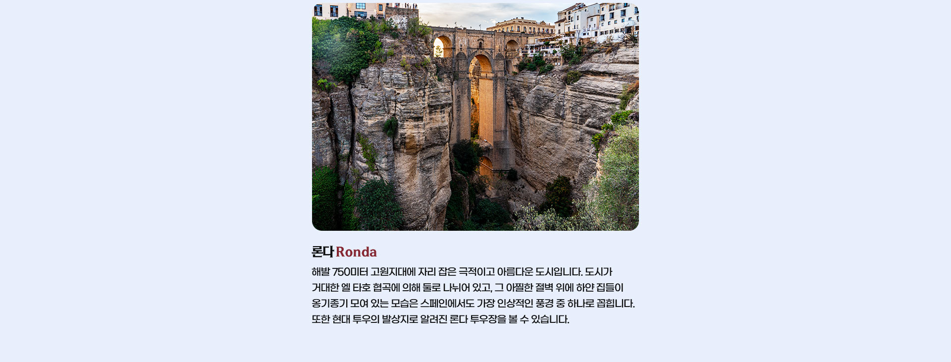 포인트
