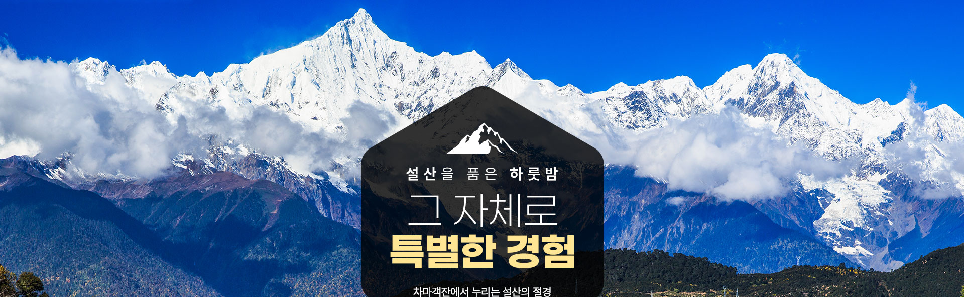 기획전/이벤트