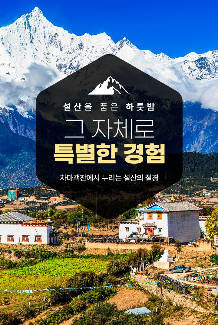 컨텐츠