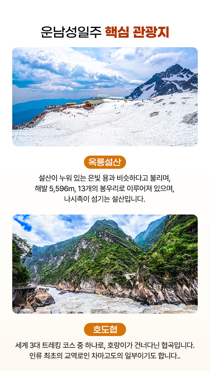 컨텐츠