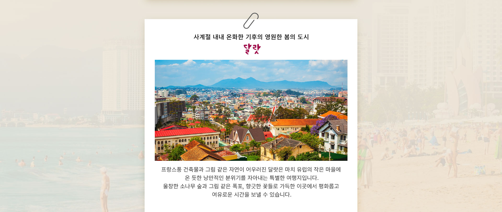 컨텐츠