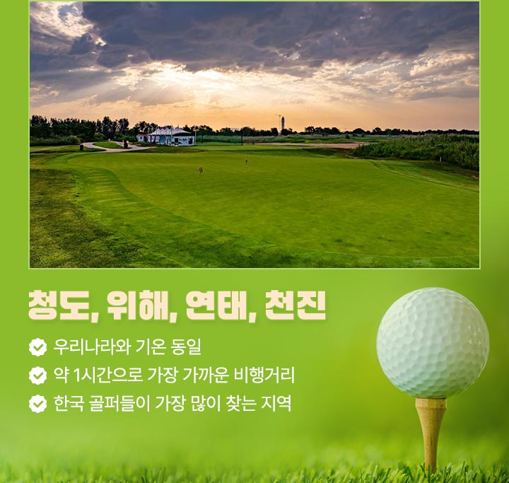 컨텐츠