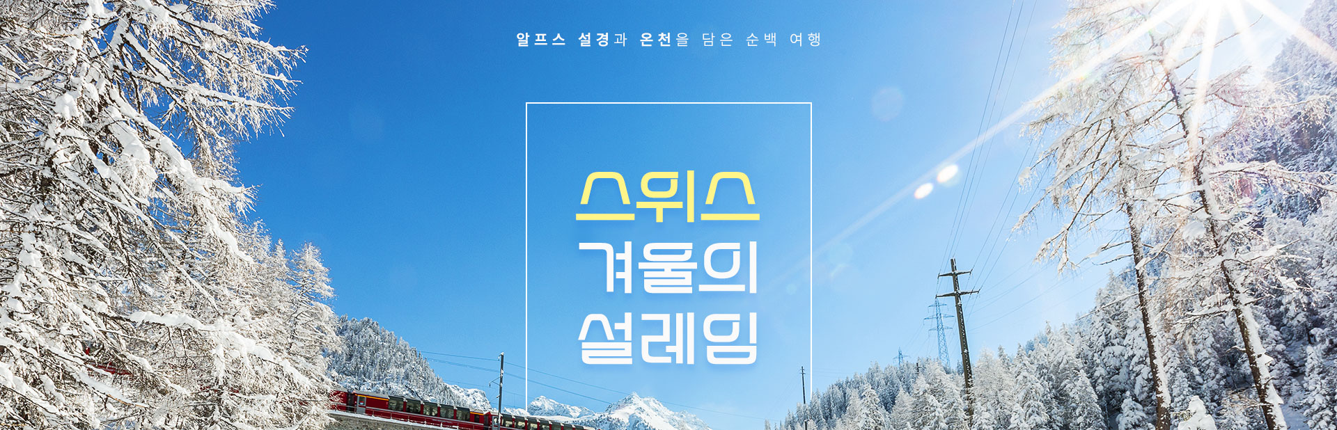 컨텐츠