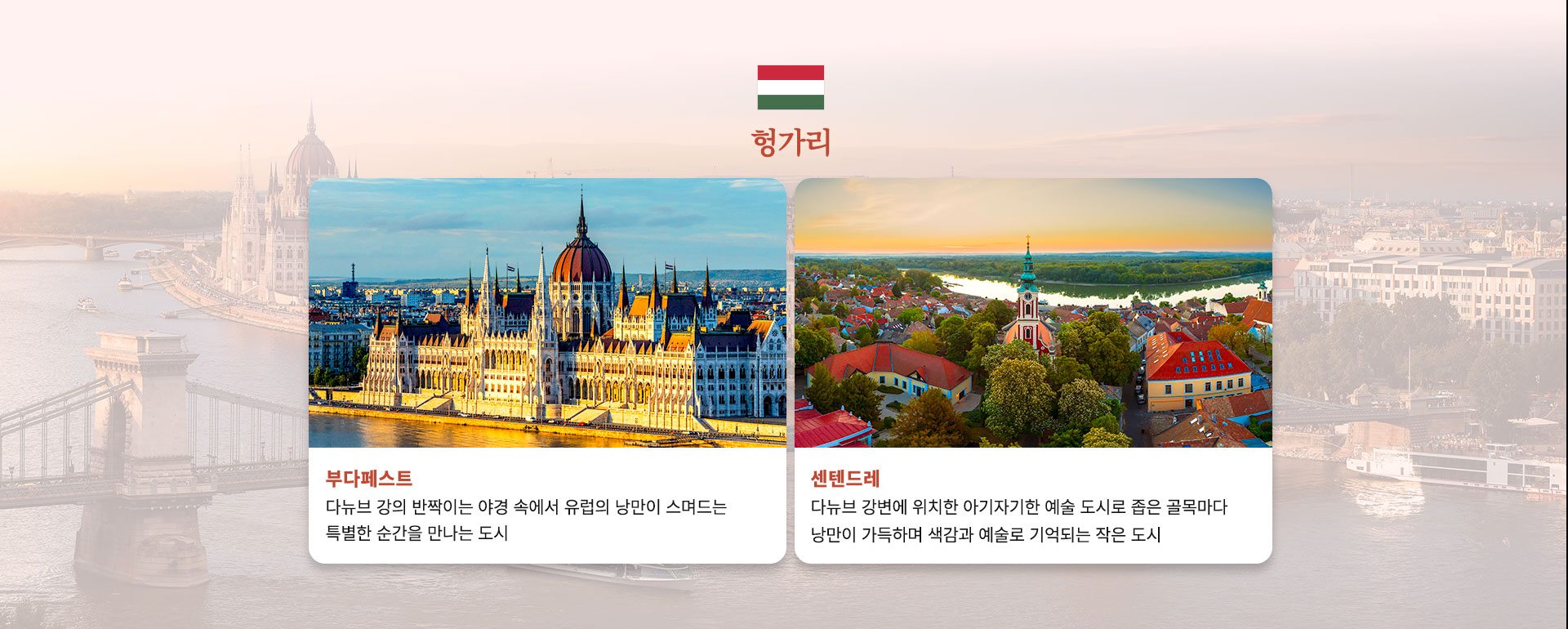 컨텐츠