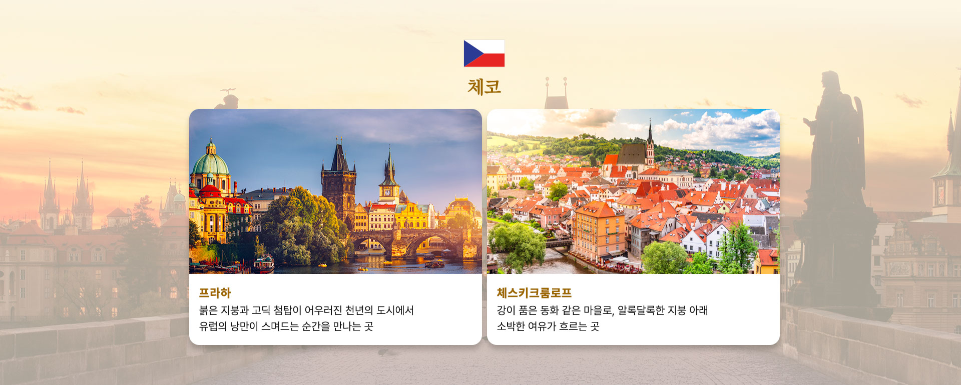 컨텐츠