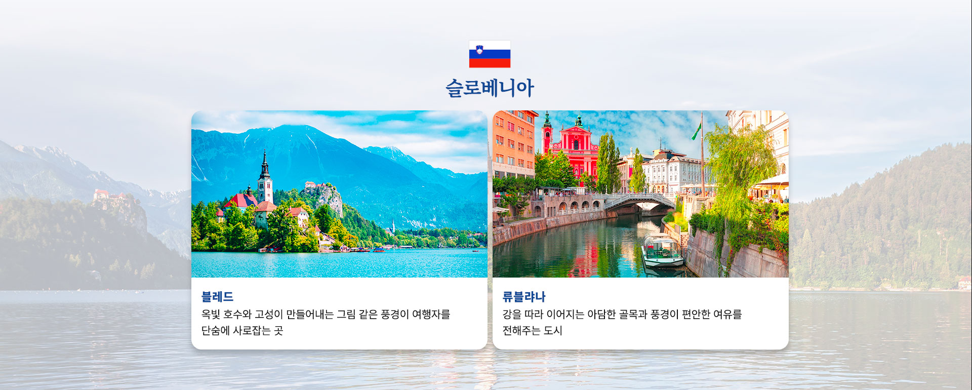 컨텐츠