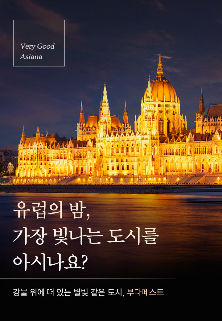 컨텐츠