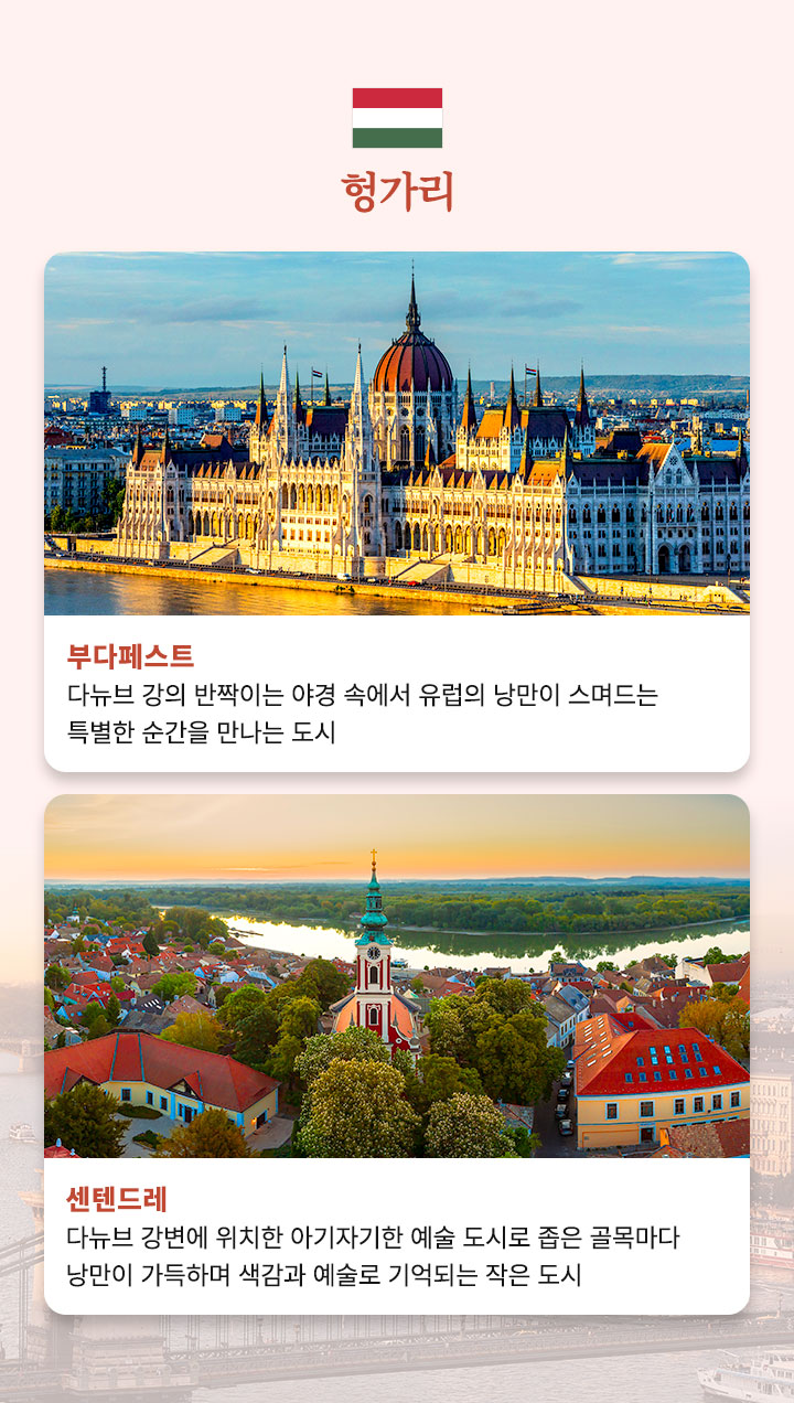 컨텐츠