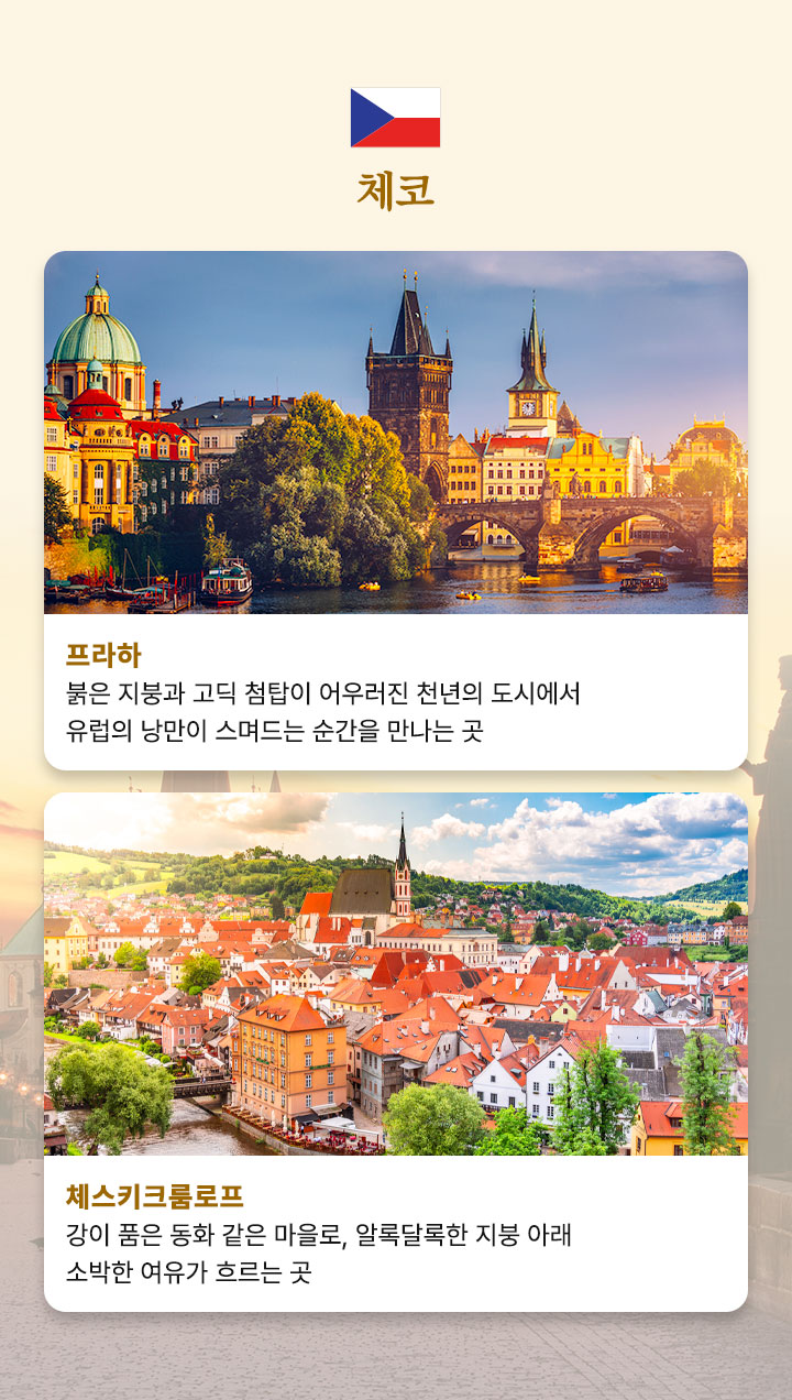 컨텐츠