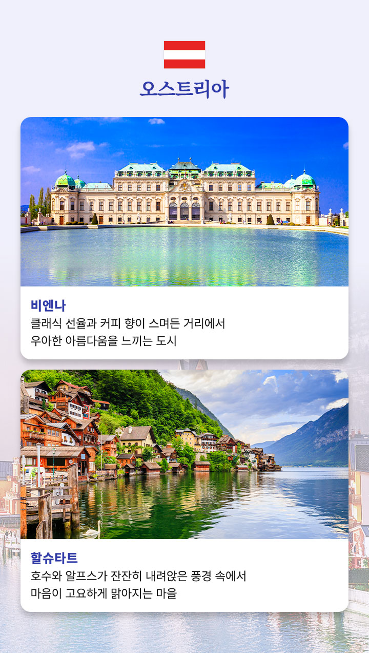 컨텐츠
