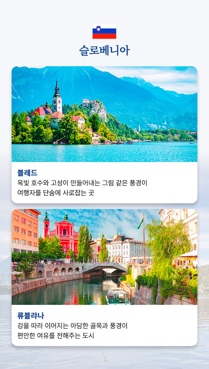 컨텐츠