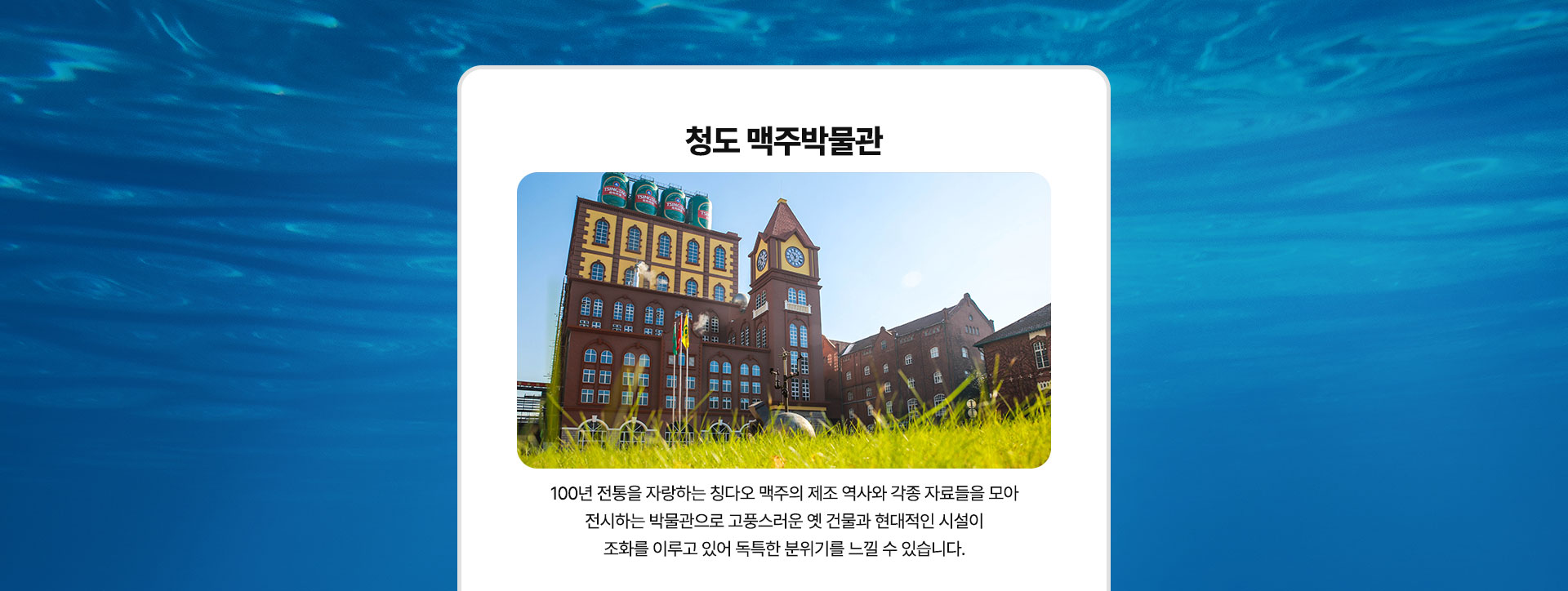 컨텐츠