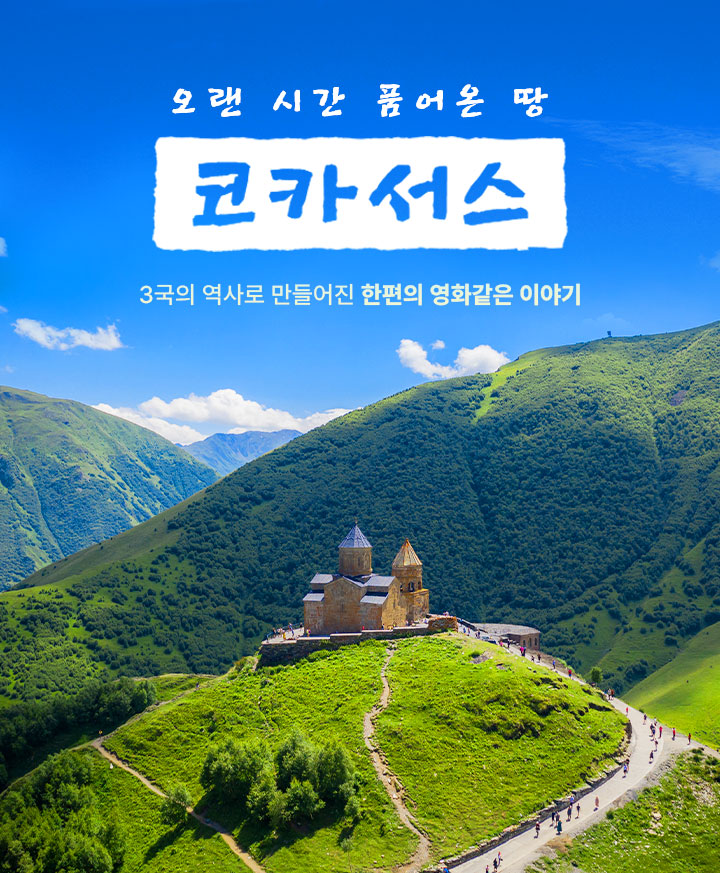 컨텐츠