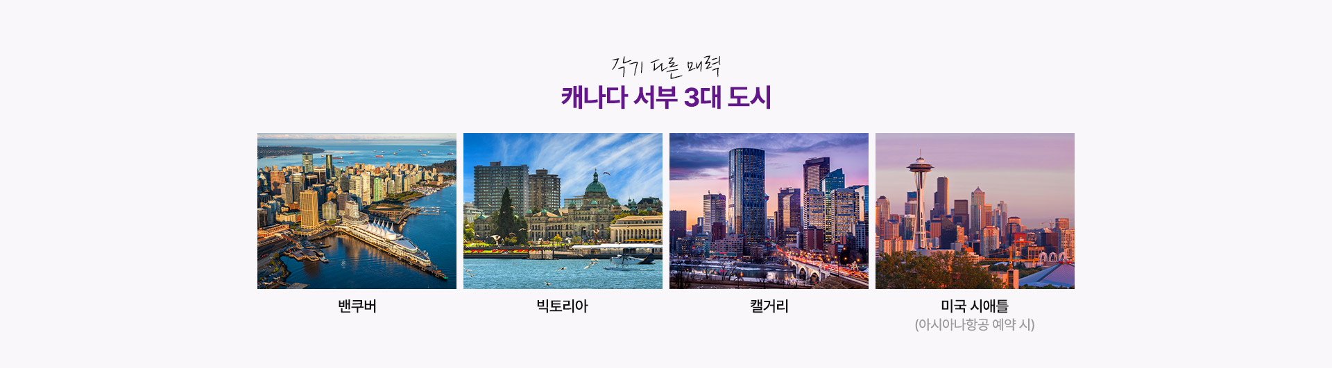 기획전