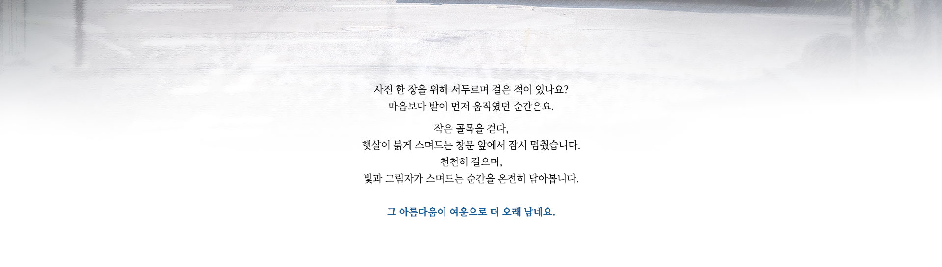 컨텐츠