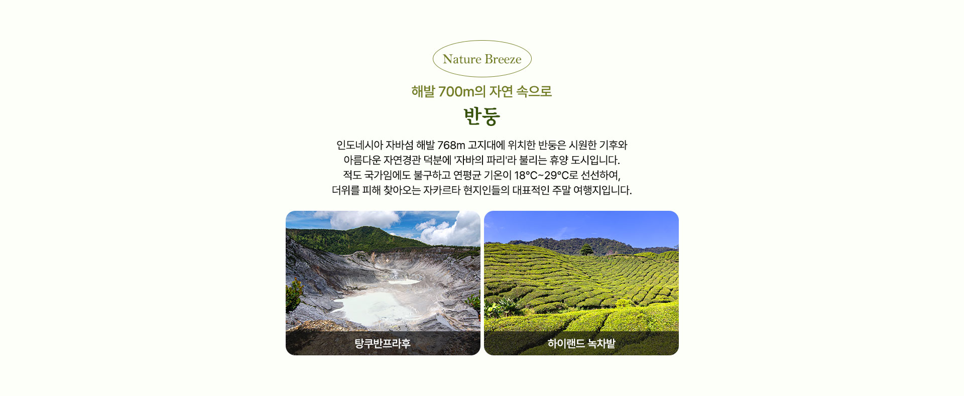 컨텐츠