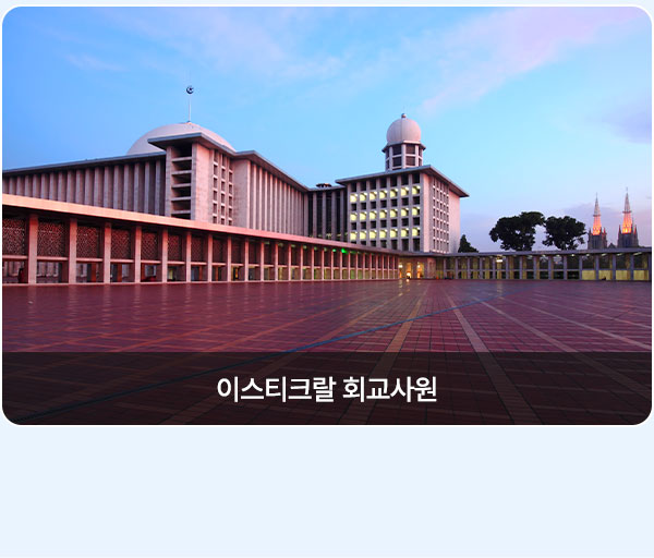 컨텐츠