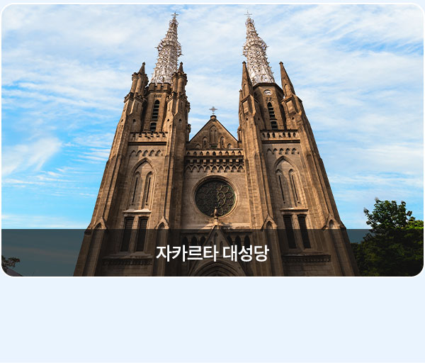 컨텐츠