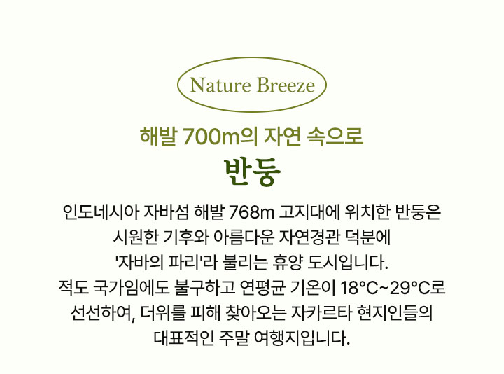 컨텐츠