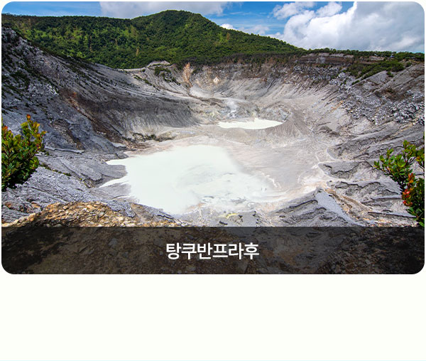 컨텐츠