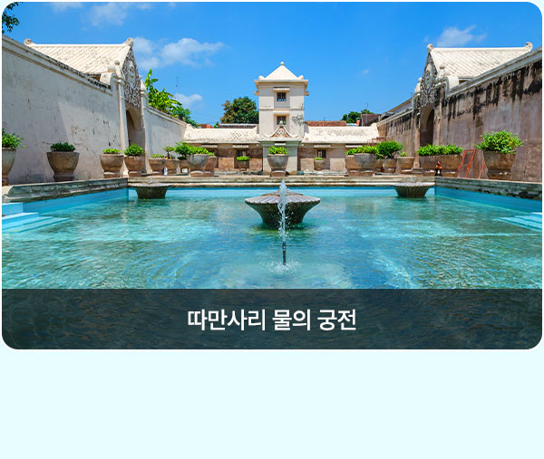 컨텐츠