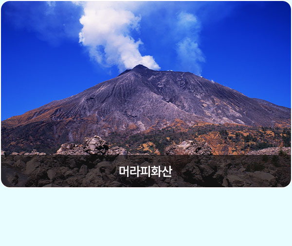 컨텐츠