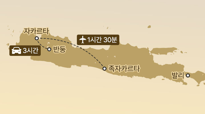 컨텐츠