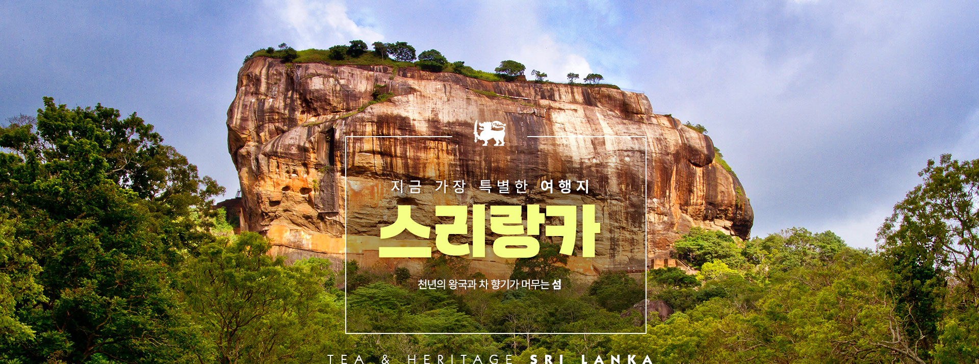 컨텐츠