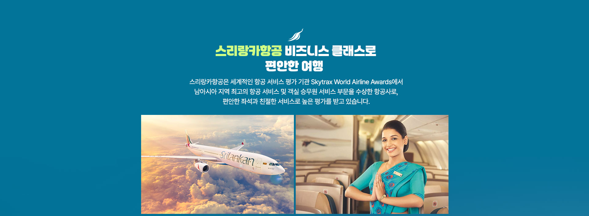 컨텐츠