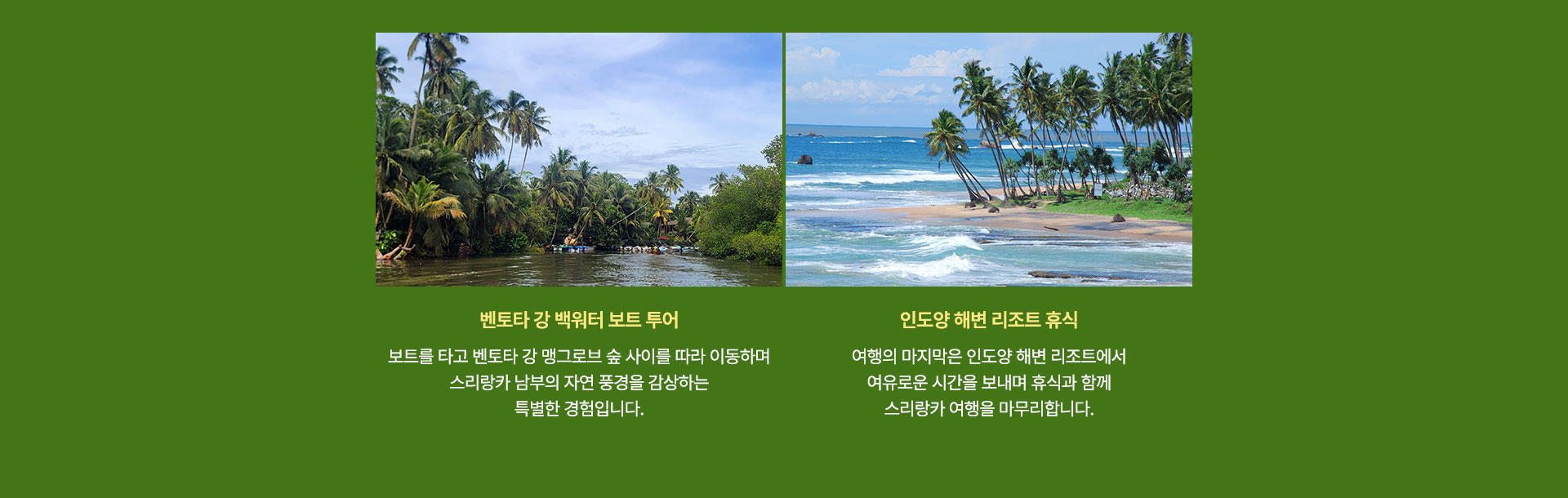 컨텐츠