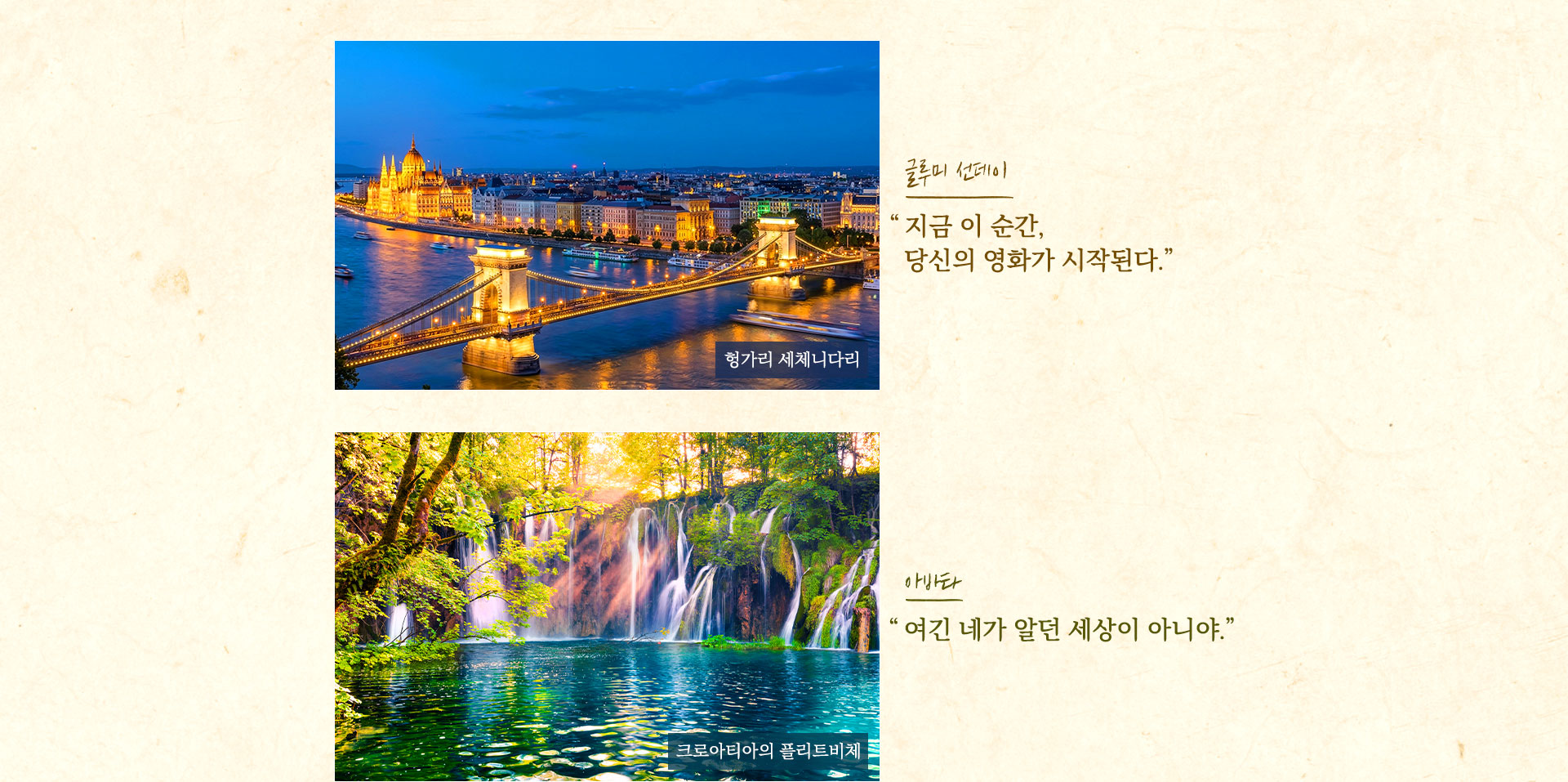 기획전