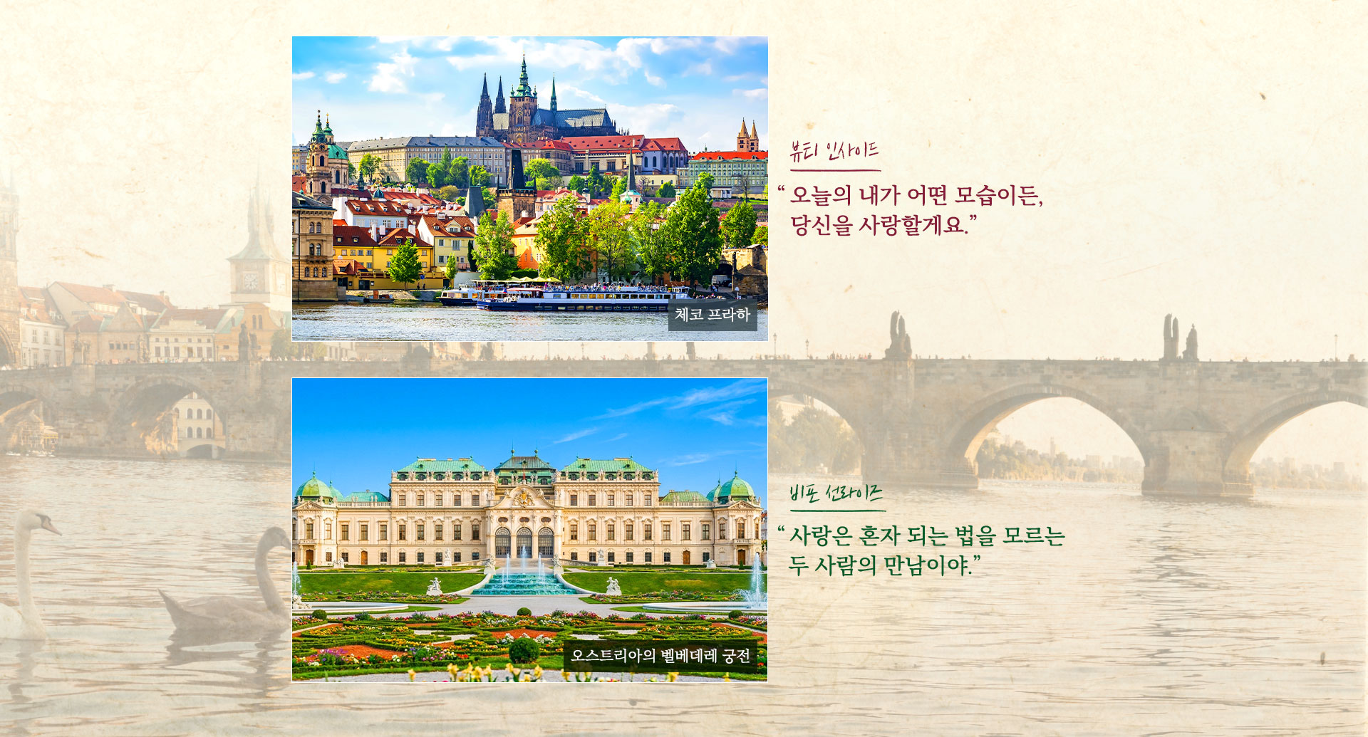 기획전