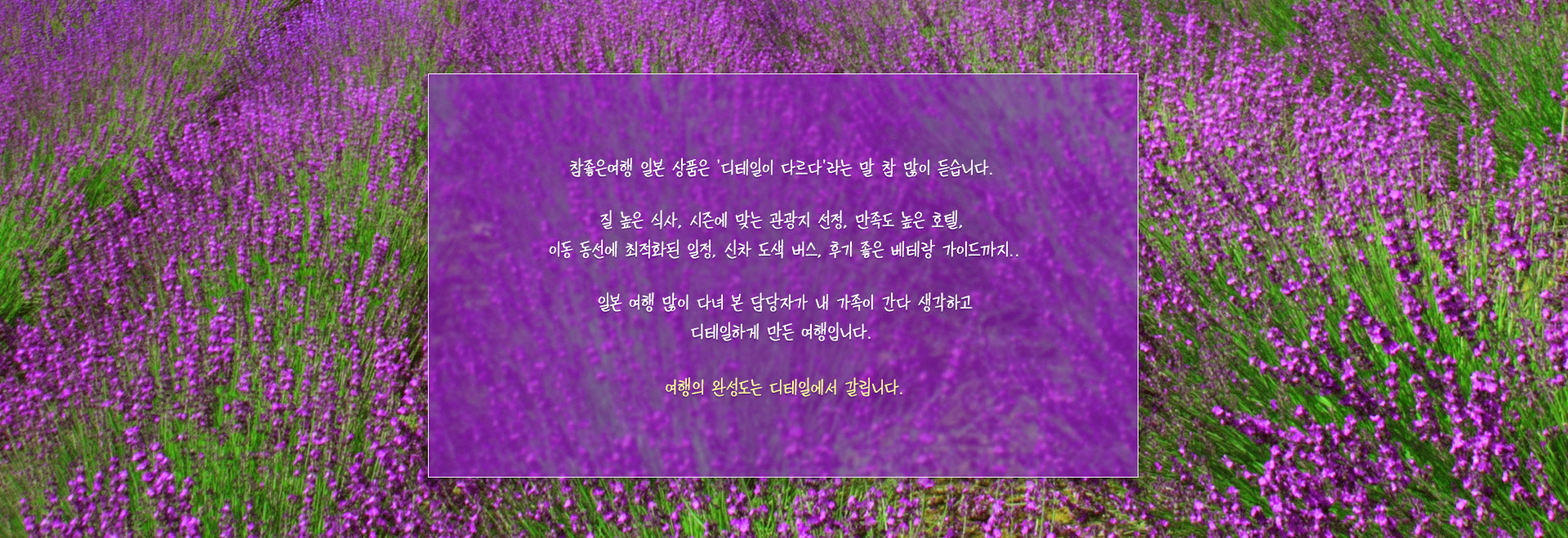 컨텐츠