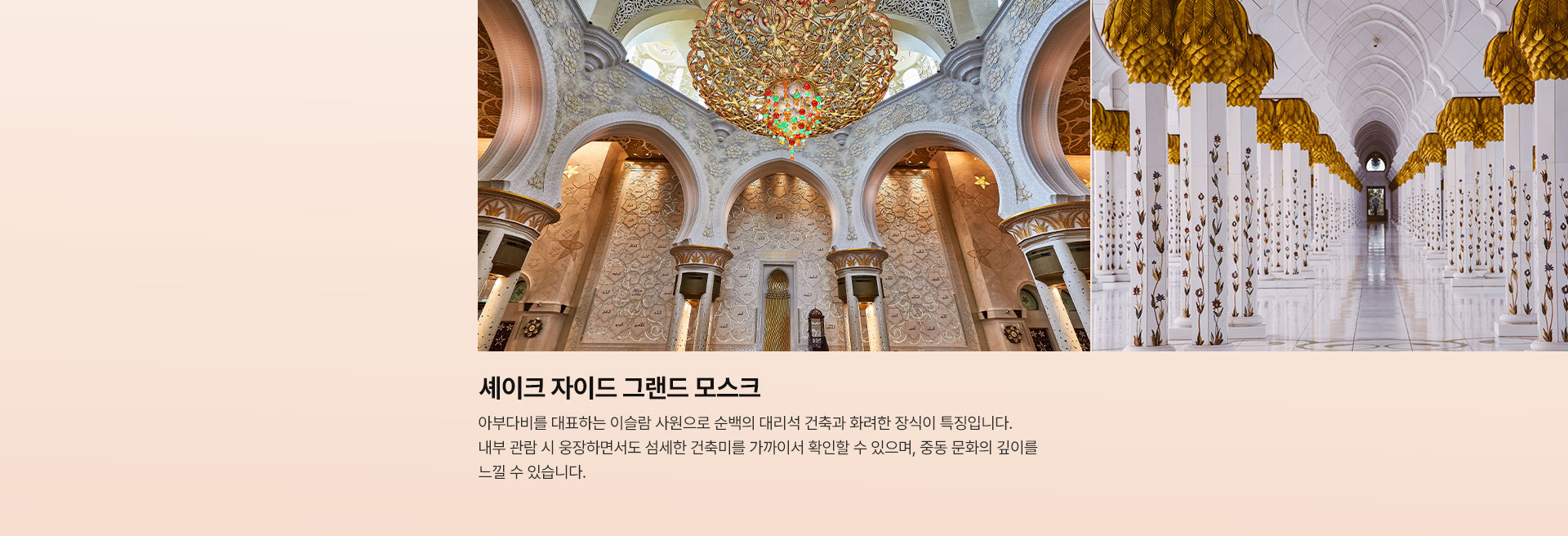 기획전/이벤트