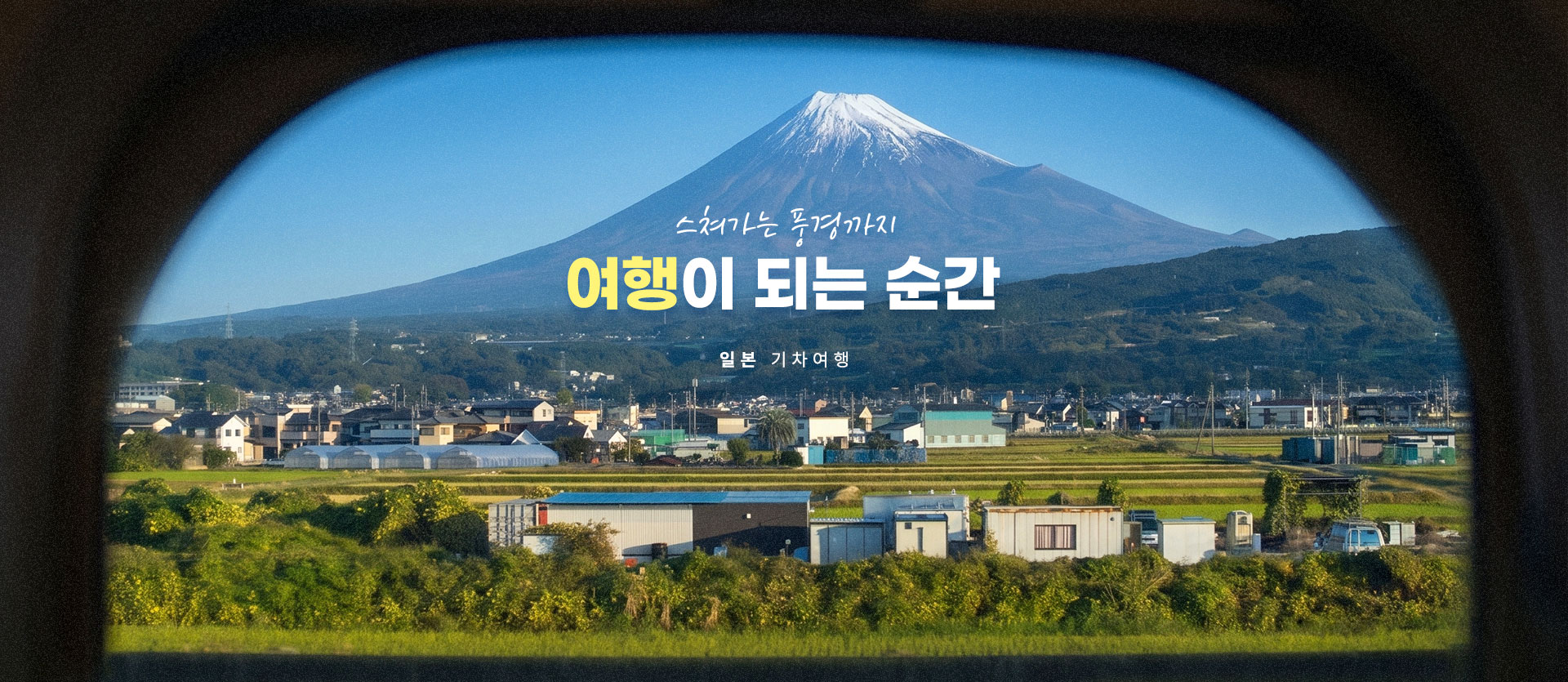 컨텐츠