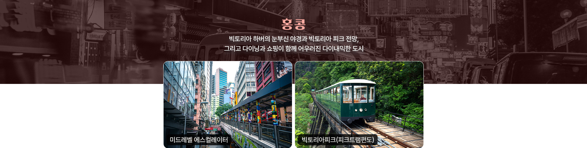 컨텐츠