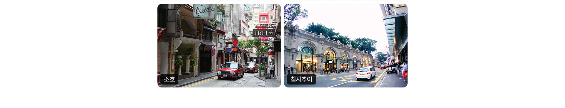 컨텐츠
