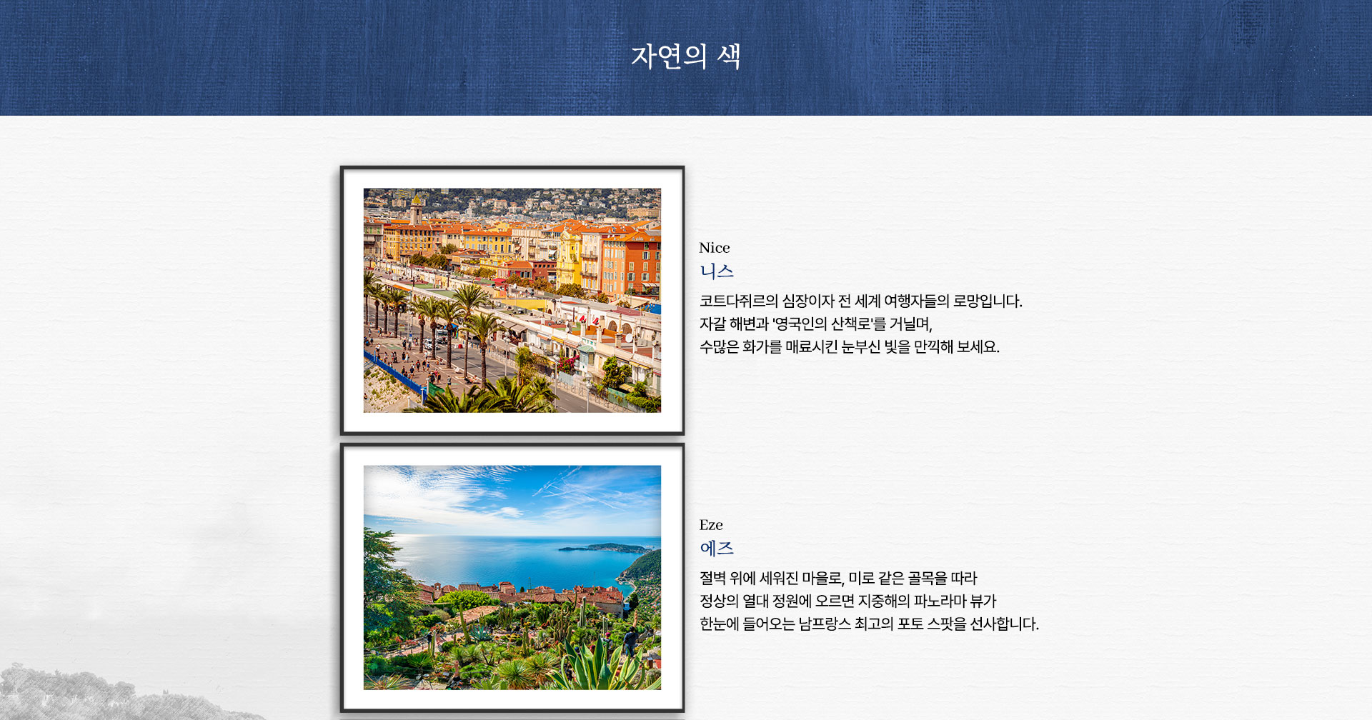 컨텐츠