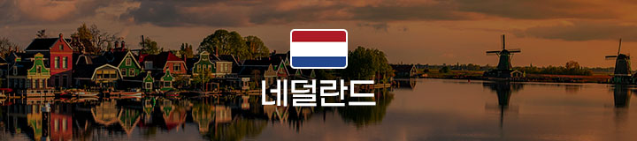 컨텐츠