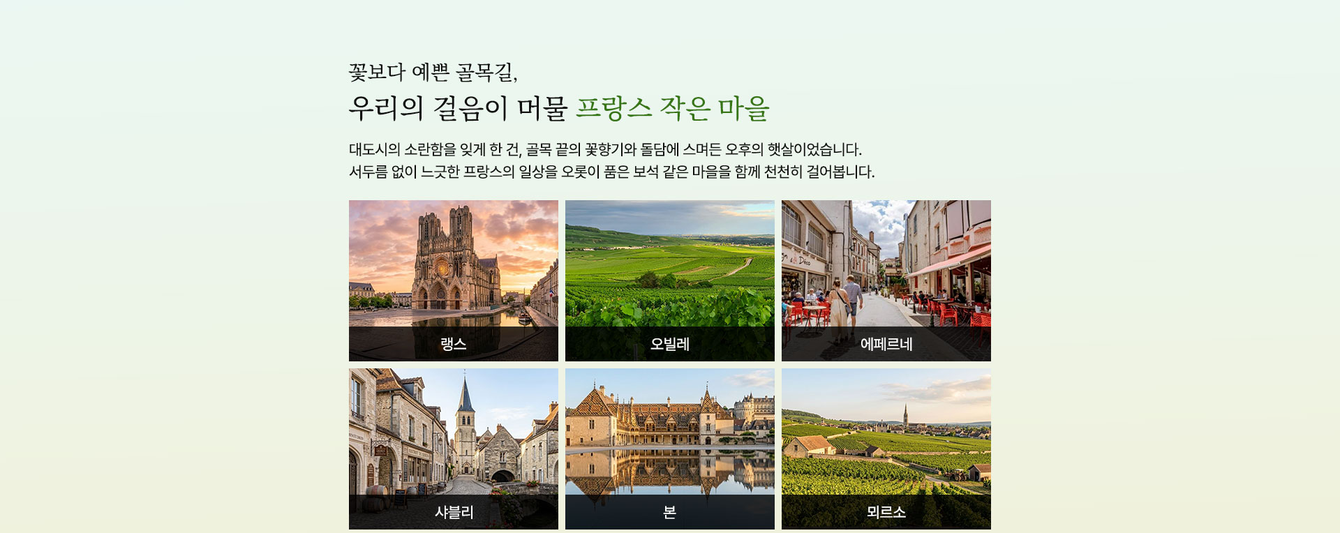 컨텐츠