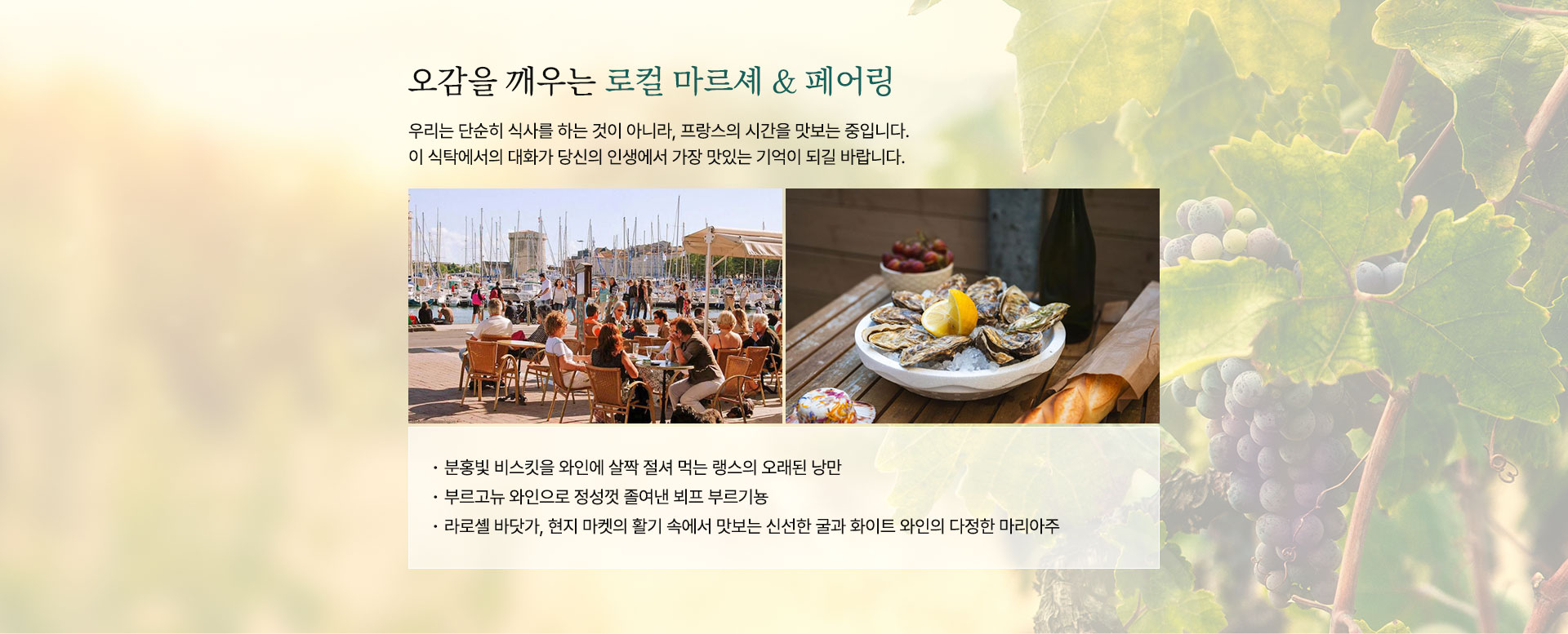 컨텐츠